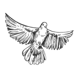 Grafik eines fliegenden Vogels mit ausgebreiteten Flügeln auf schwarzem Hintergrund.